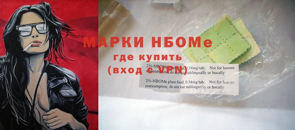 хмурый Карпинск