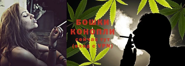 хмурый Карпинск