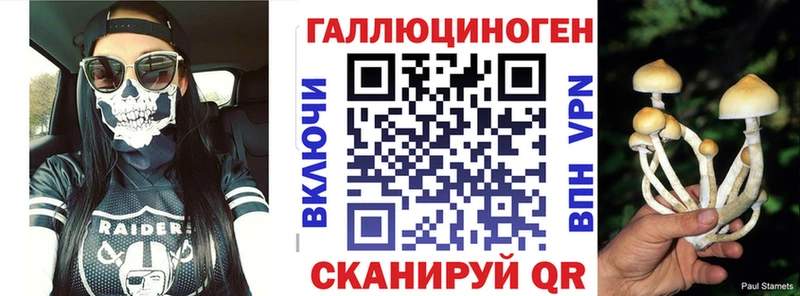 Купить где  Улан-Удэ  Псилоцибиновые грибы Psilocybe 
